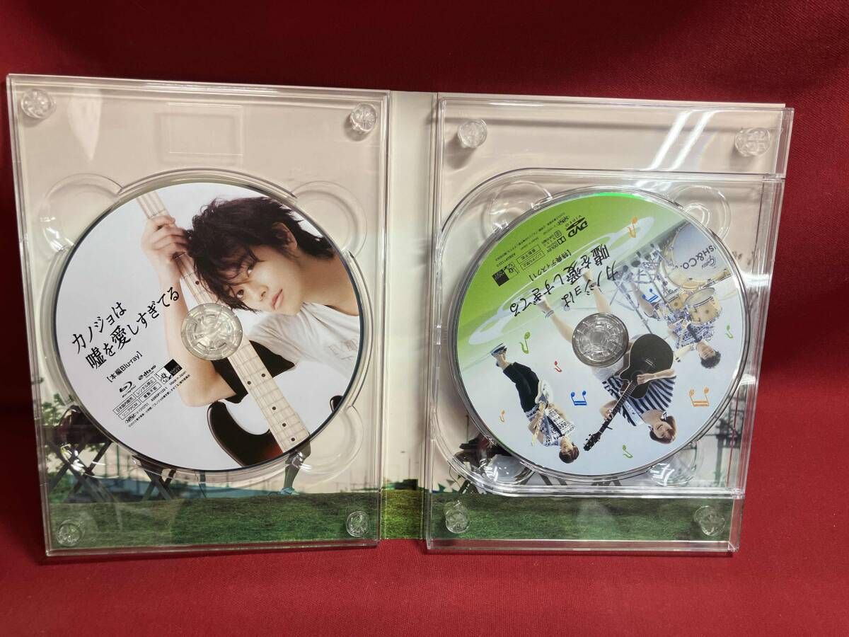 カノジョは嘘を愛しすぎてる プレミアム・エディション(Blu-ray Disc
