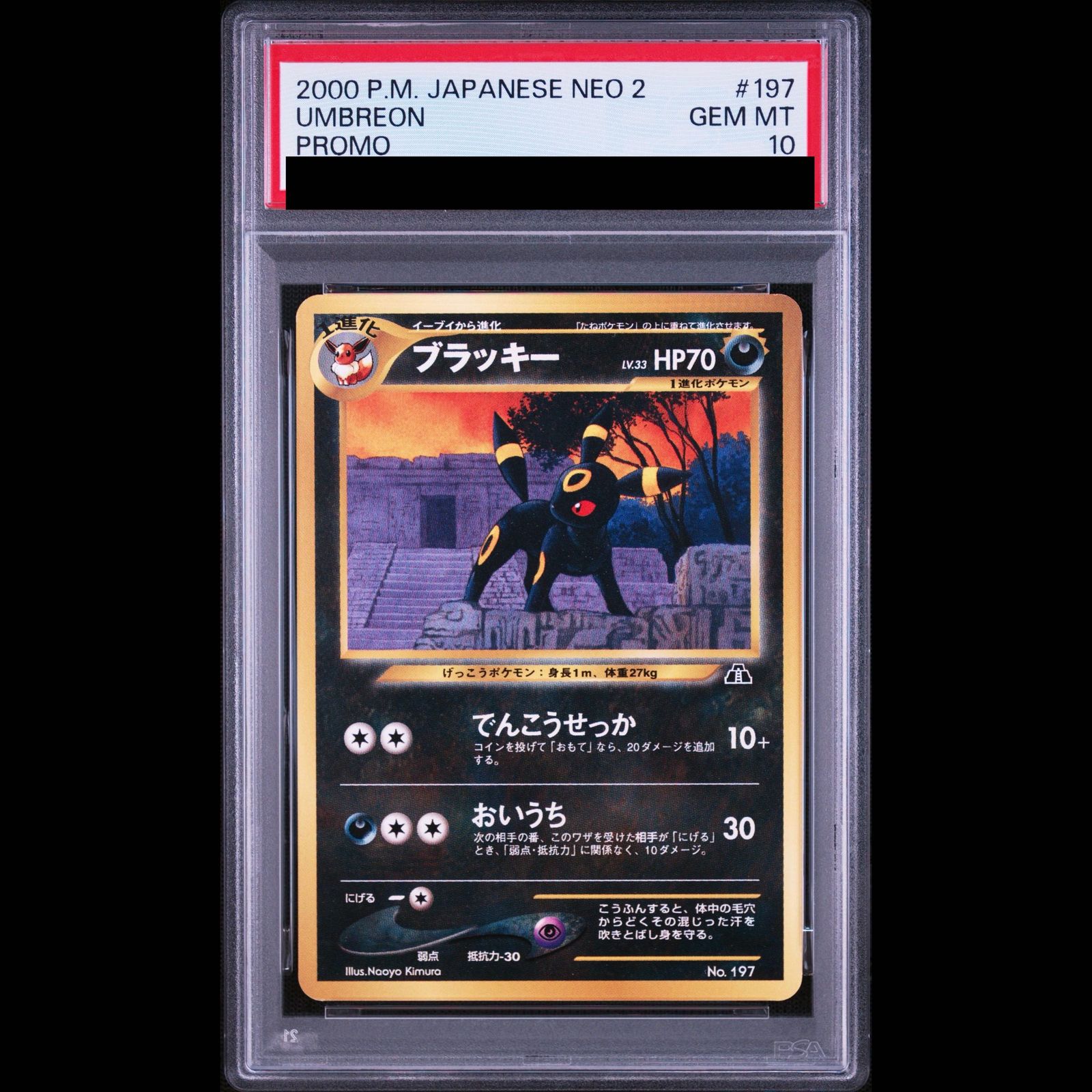 PSA10】ブラッキー プレミアムファイル 旧裏 1枚 - メルカリ