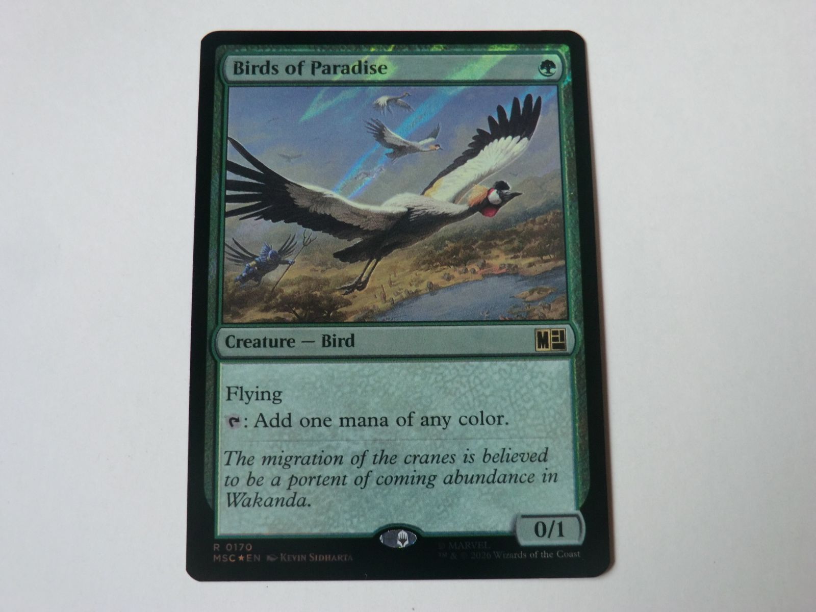 MTG 極楽鳥（サージFOIL） マーベル スーパー・ヒーローズ 英語 1枚