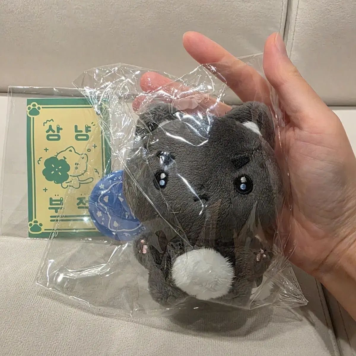 Choi チェ・サンヨプ(CHOI LUCY(ルシ) SANGYEOP Sangyeop Facts