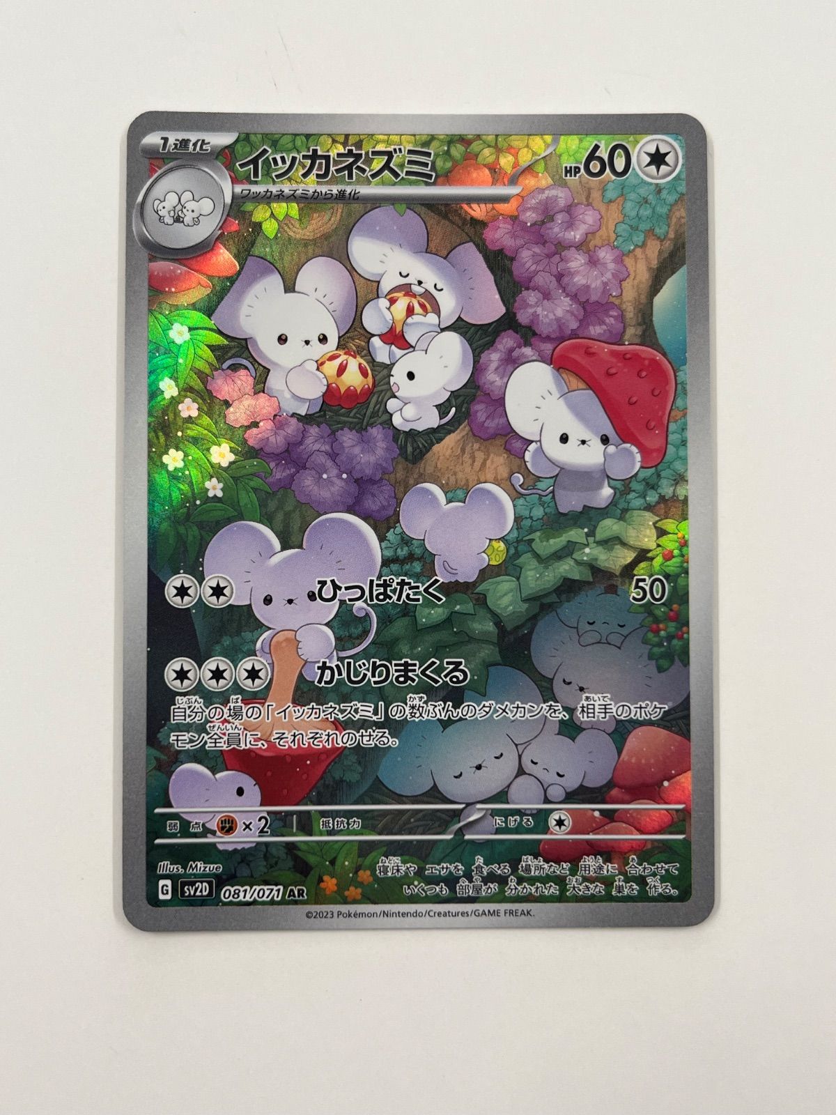 秋田】イッカネズミ sv2D 081/071 AR - メルカリ