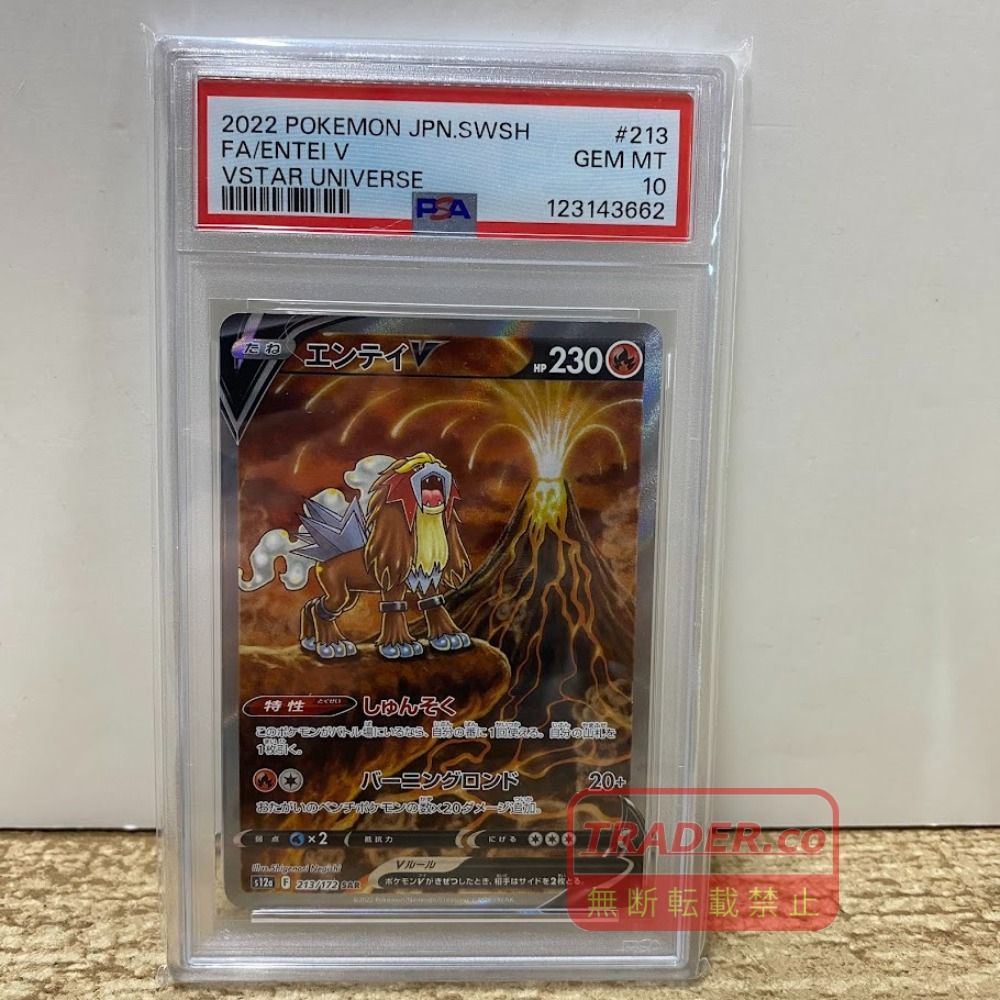 08w17770 【PSA10】 ハイクラスパック VSTARユニバース エンテイV 213