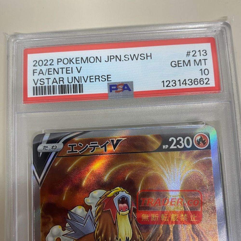 08w17770 【PSA10】 ハイクラスパック VSTARユニバース エンテイV 213