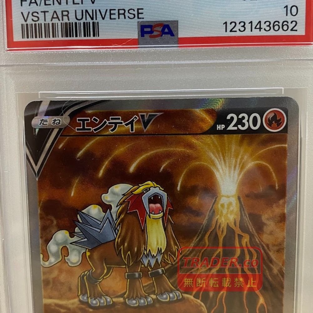 08w17770 【PSA10】 ハイクラスパック VSTARユニバース エンテイV 213