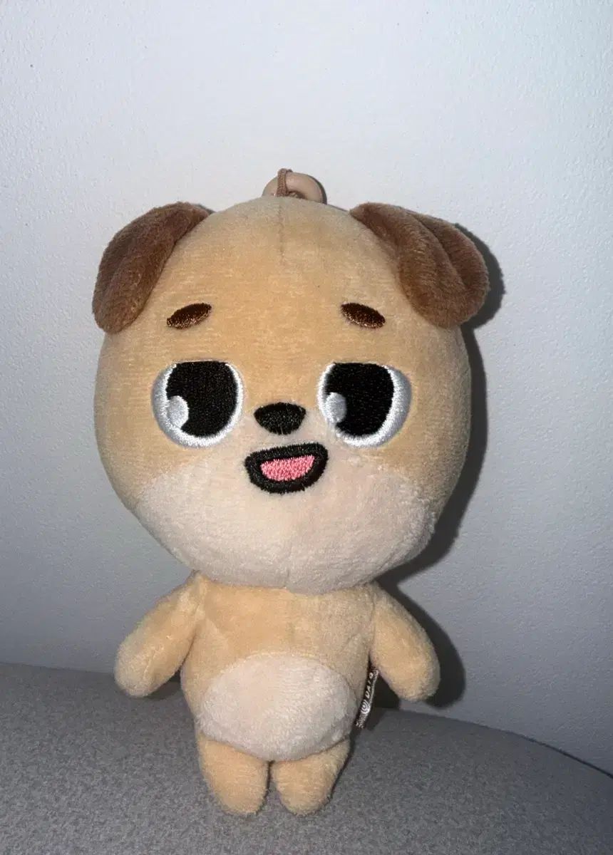 20 デニマルズ ドウン ドン DAY6（デイシックス） - メルカリ