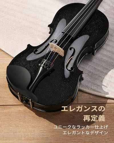 Eastar バイオリンセット ヴァイオリン 4/4 単板 ソリッド 弓2本