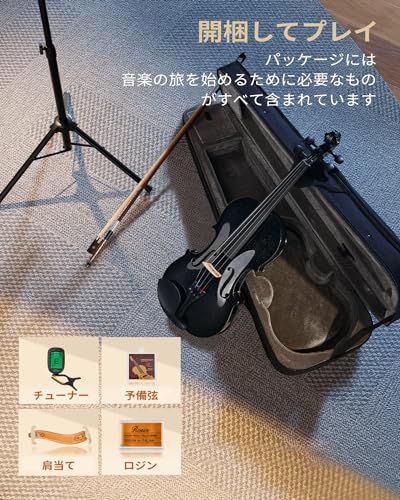 Eastar バイオリンセット ヴァイオリン 4/4 単板 ソリッド 弓2本