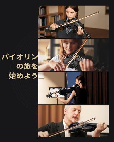 Eastar バイオリンセット ヴァイオリン 4/4 単板 ソリッド 弓2本