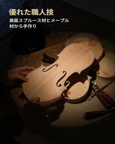 Eastar バイオリンセット ヴァイオリン 4/4 単板 ソリッド 弓2本