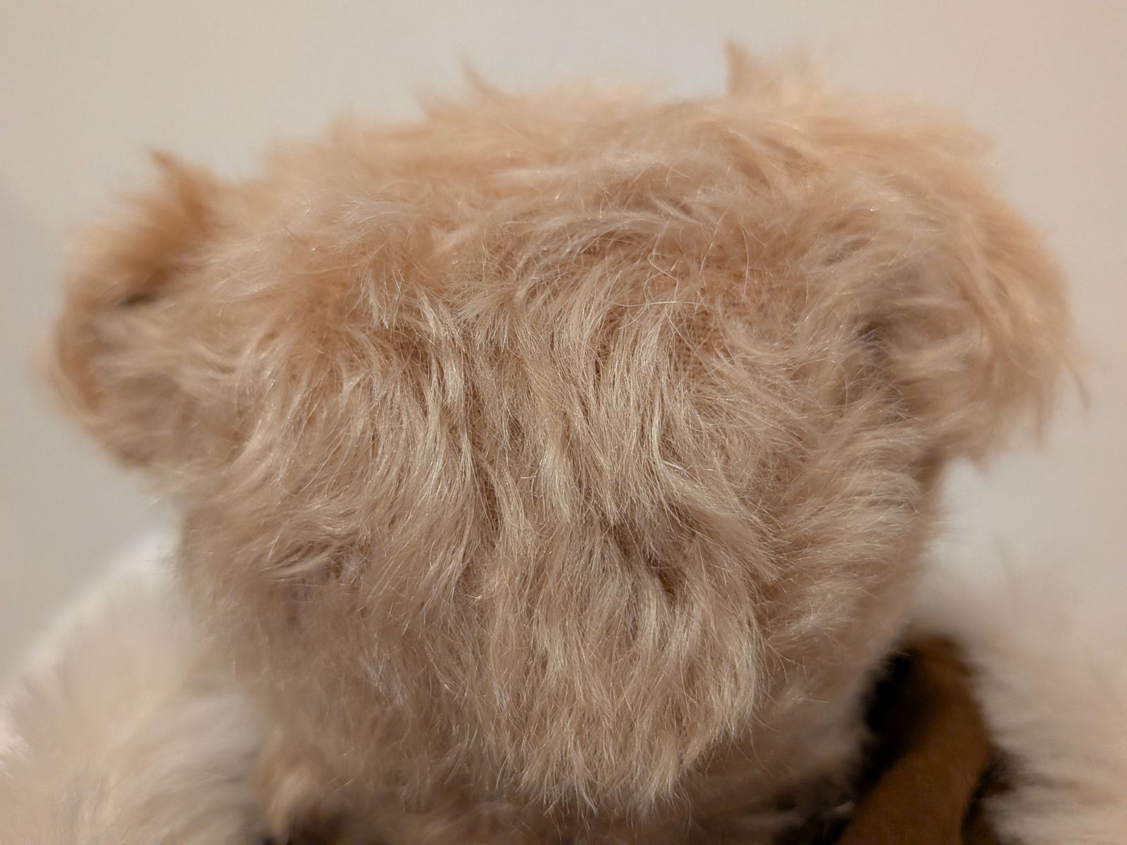 Steiff 2011 エスキモー ポーラーベア シュタイフ 限定 テディベア