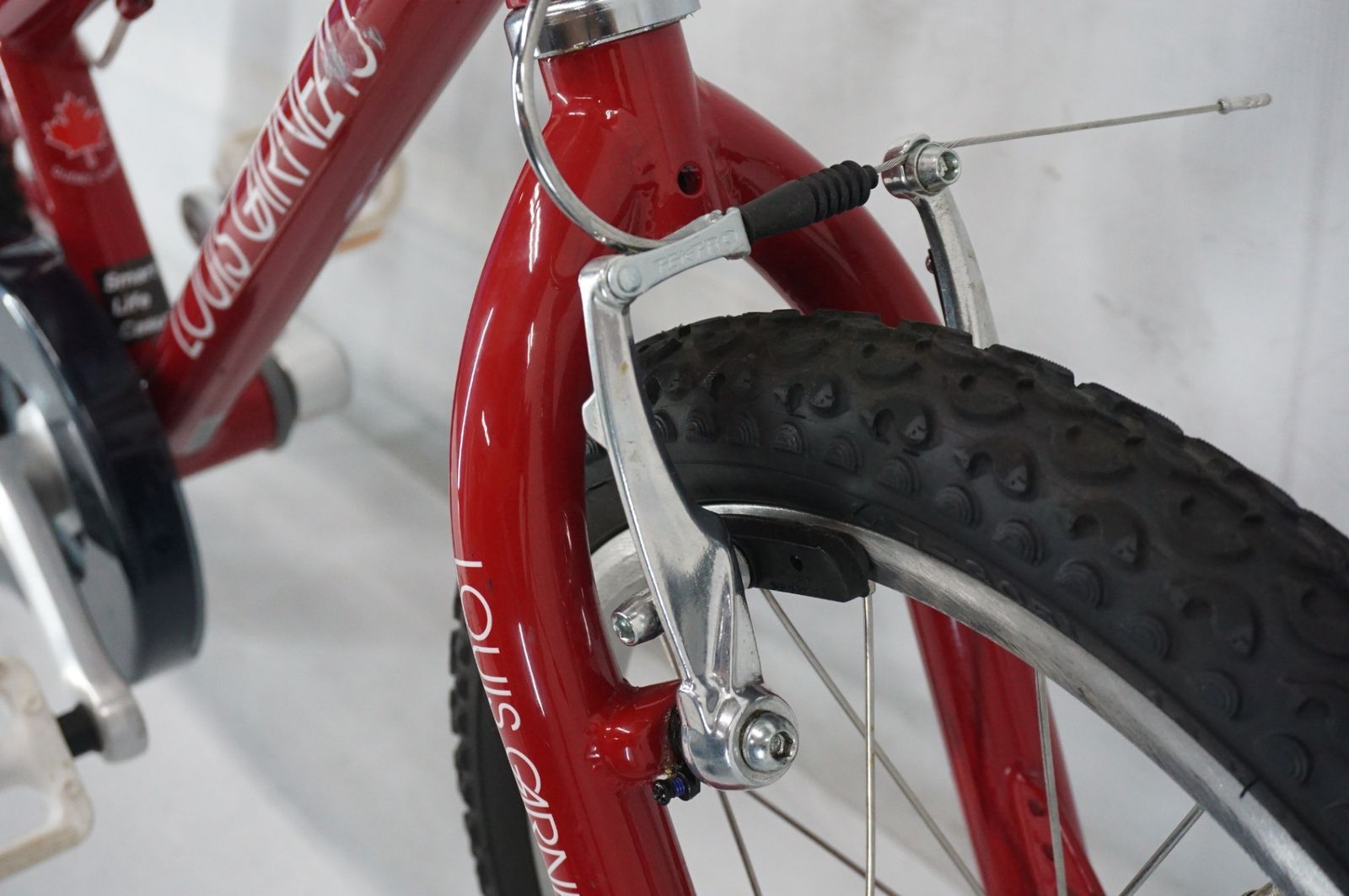 LOUIS GARNEAU 「ルイガノ」 LGS-K16 2022年モデル 16インチ キッズ