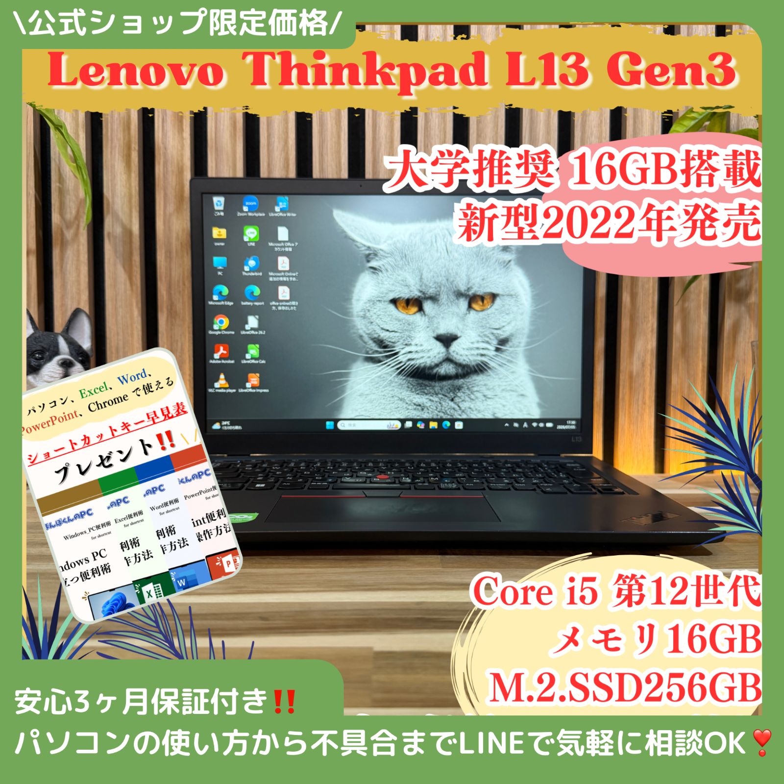 Thinkpad L13 Gen3 16GB/256GB 第12世代Core i5 - メルカリ