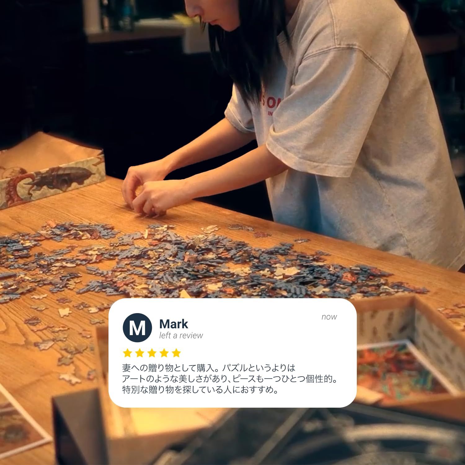 Pieces of the Masters パズル The Puzzle “Octopolis” オクトポリス パズル』 大人向け