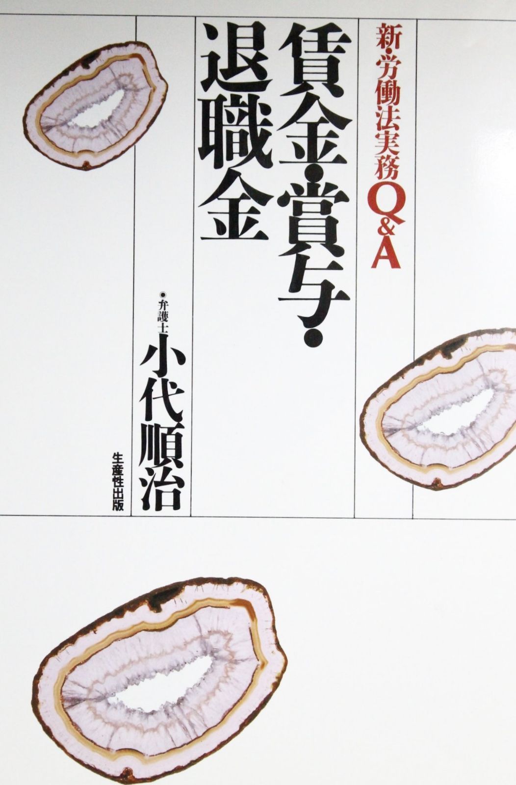 賃金・賞与・退職金: 新・労働法実務Qu0026A
