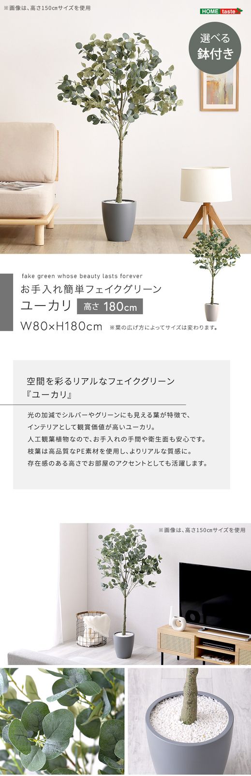 お手入れ簡単フェイクグリーン　ユーカリ　Lサイズ(180cm)
