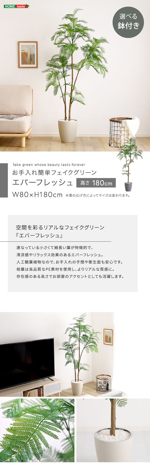 お手入れ簡単フェイクグリーン　エバーフレッシュ　Lサイズ(180cm)