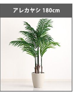 お手入れ簡単フェイクグリーン　モンステラ　Mサイズ(150cm)