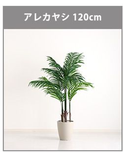 お手入れ簡単フェイクグリーン　モンステラ　Mサイズ(150cm)