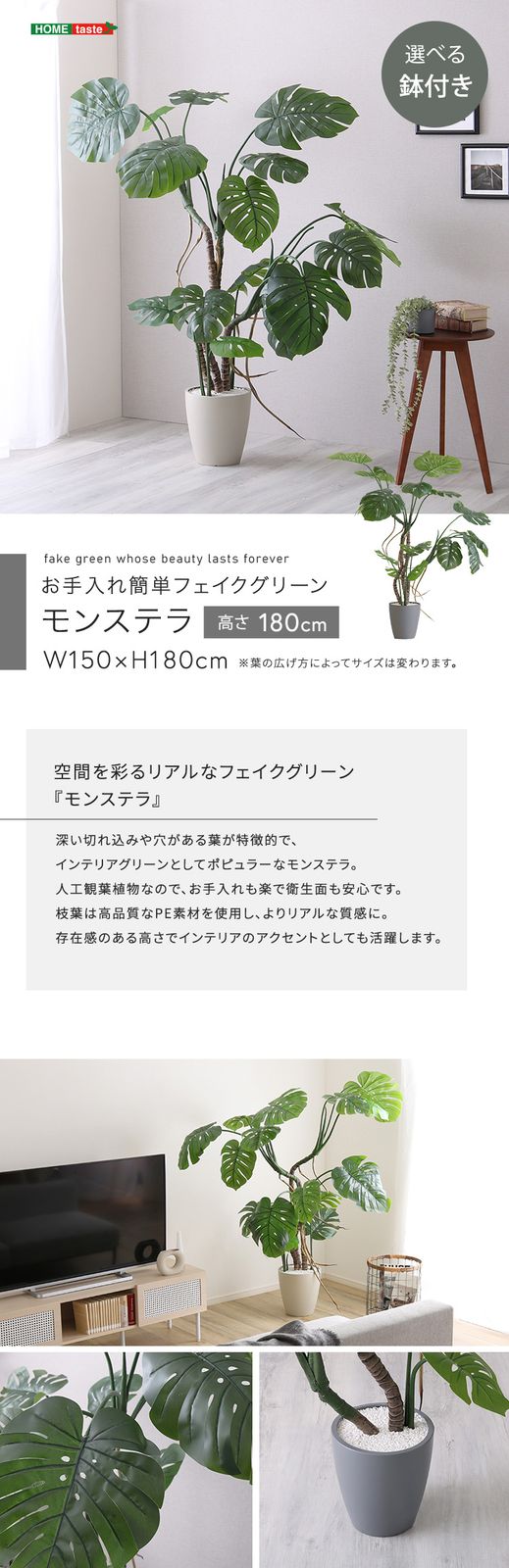お手入れ簡単フェイクグリーン　モンステラ　Lサイズ(180cm)