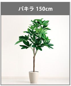 お手入れ簡単フェイクグリーン　モンステラ　Mサイズ(150cm)