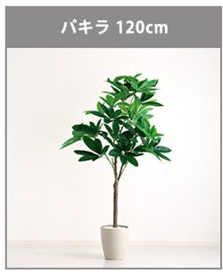 お手入れ簡単フェイクグリーン　モンステラ　Mサイズ(150cm)
