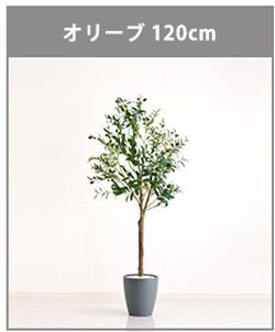 お手入れ簡単フェイクグリーン　モンステラ　Mサイズ(150cm)