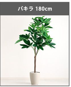 お手入れ簡単フェイクグリーン　モンステラ　Mサイズ(150cm)