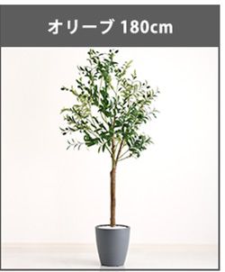 お手入れ簡単フェイクグリーン　モンステラ　Mサイズ(150cm)