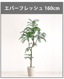 お手入れ簡単フェイクグリーン　モンステラ　Mサイズ(150cm)