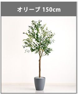 お手入れ簡単フェイクグリーン　モンステラ　Mサイズ(150cm)