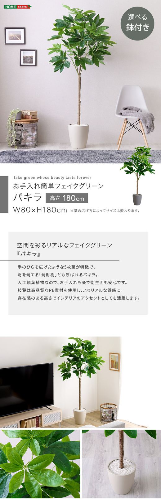お手入れ簡単フェイクグリーン　パキラ　Lサイズ(180cm)