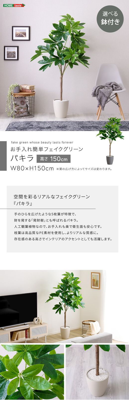お手入れ簡単フェイクグリーン　パキラ　Mサイズ(150cm)