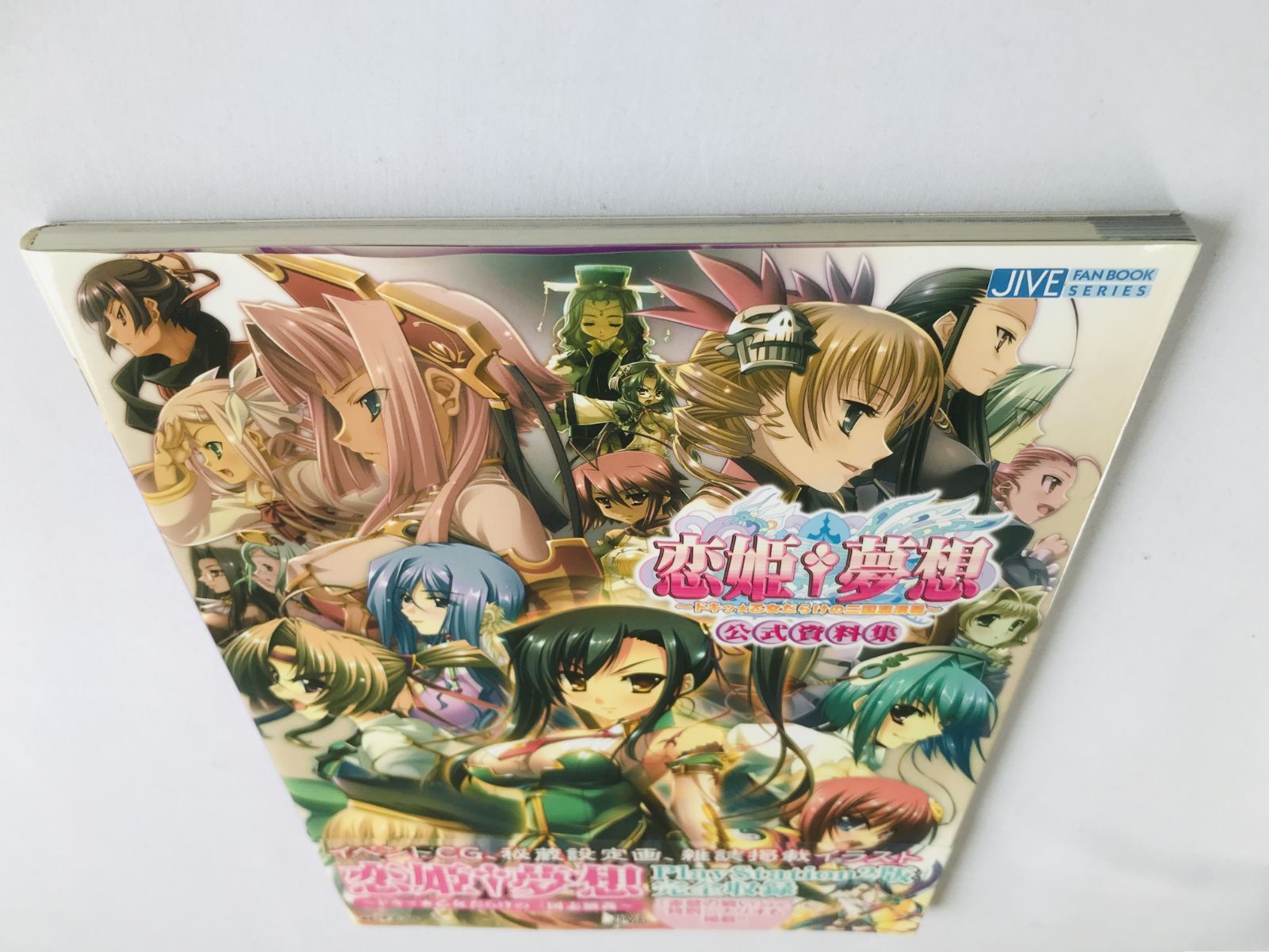 恋姫 夢想 ドキッ 乙女だらけの三国志演義 公式資料集 初版 PS2 帯