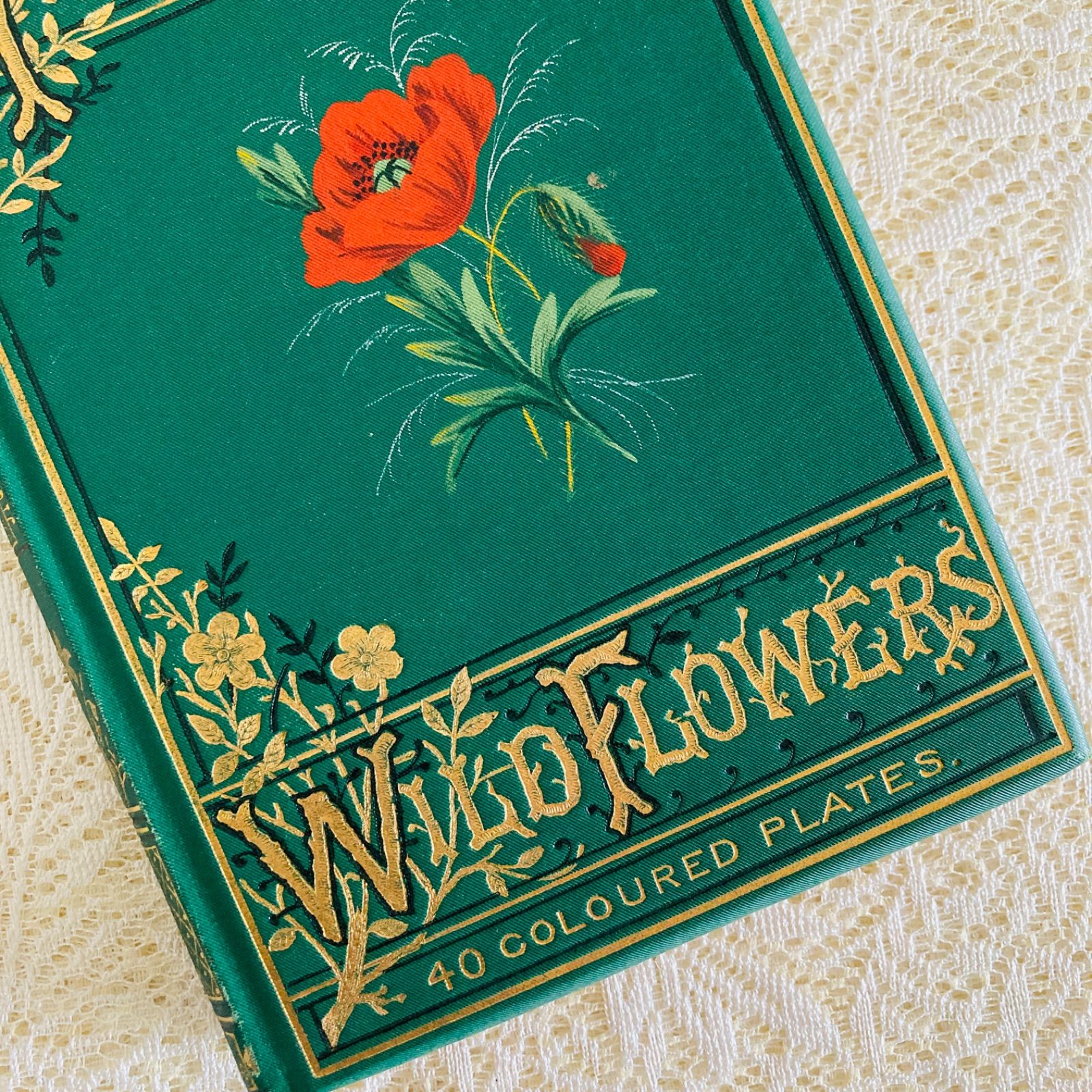 Familiar Wild Flowers　希少なアンティーク植物図鑑　洋書古書 Familiar Wild Flowers 第4巻 イギリスのアンティーク植物図鑑
