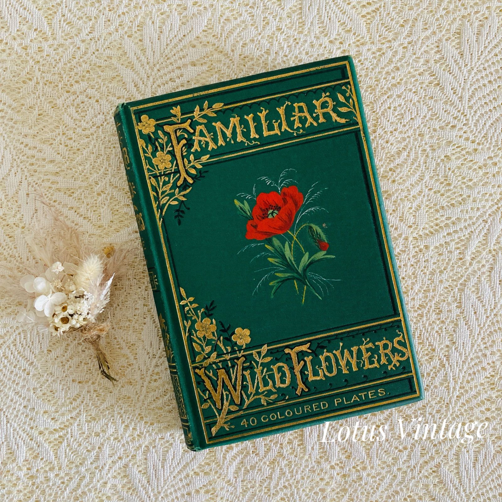 Familiar Wild Flowers　希少なアンティーク植物図鑑　洋書古書 Familiar Wild Flowers 第4巻 イギリスのアンティーク植物図鑑
