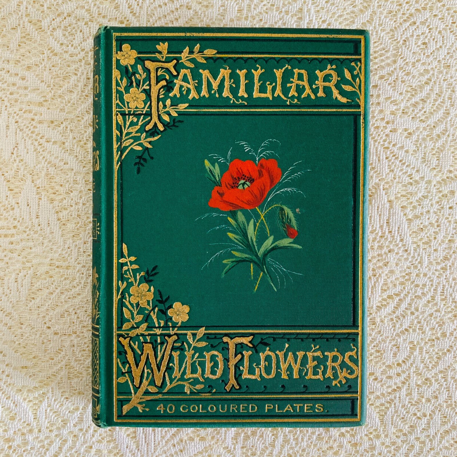 Familiar Wild Flowers 第4巻 イギリスのアンティーク植物図鑑