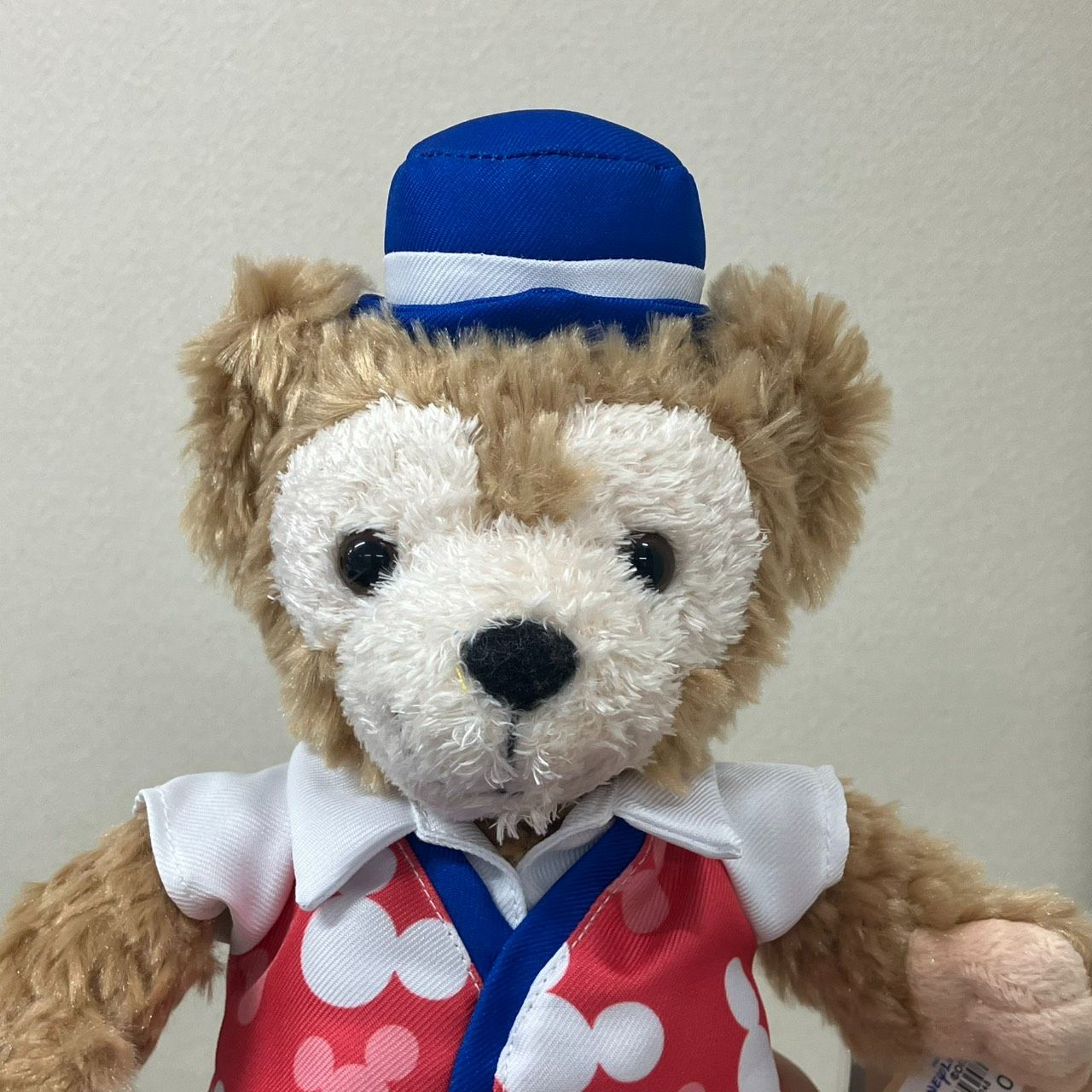 新品・タグ付き】ダッフィー ぬいぐるみ 香港ディズニー 海外