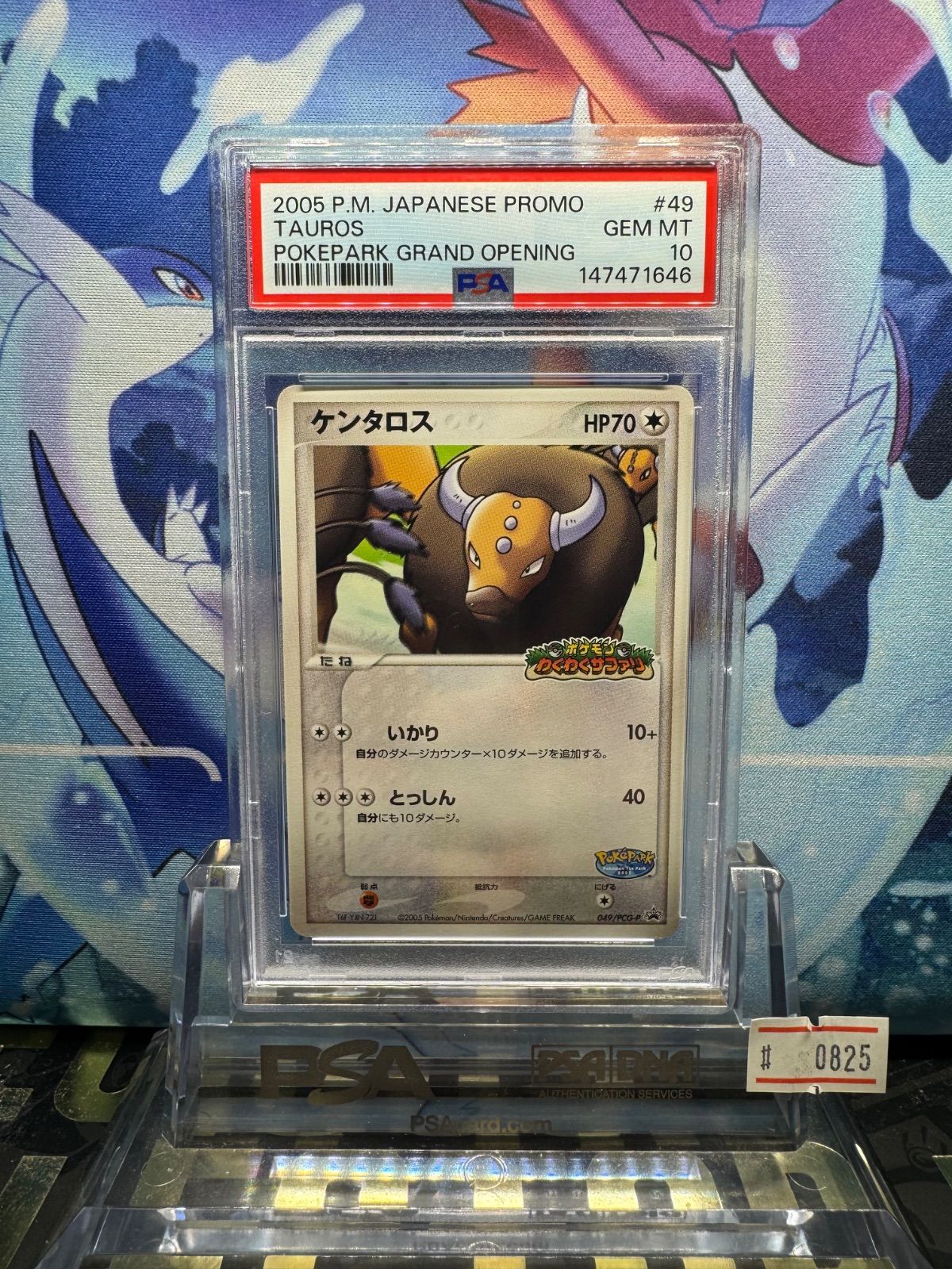 PSA10 ケンタロス プロモ PCG ポケパーク アトラクション「ポケモン