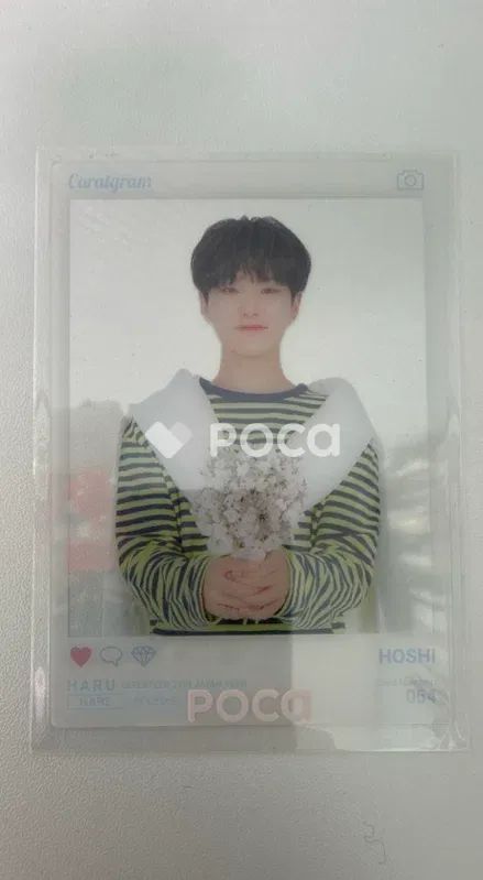 セブチ ホシ SEVENTEEN 2019 JAPAN TOUR 'HARU' トレーディングカード