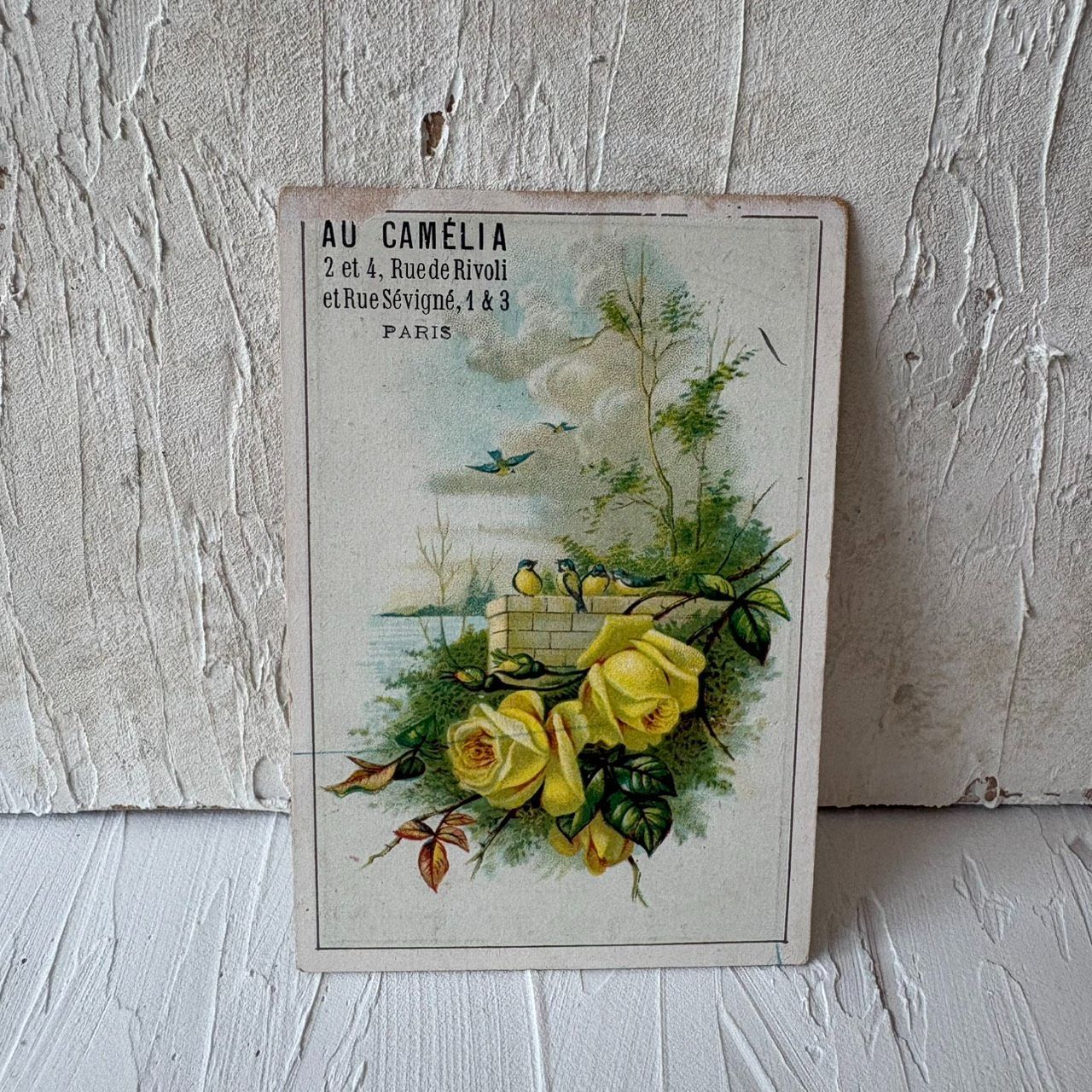 フランスアンティーククロモカード　薔薇の妖精 フランス アンティーク クロモス クロモカード AU CAMÉLIA パリ 黄色い
