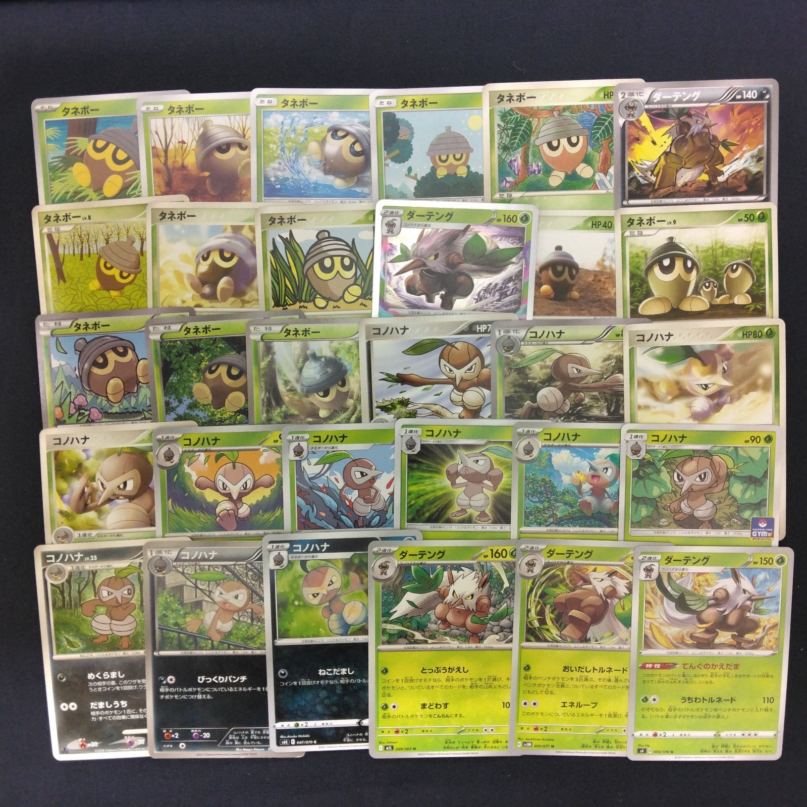 タネボー コノハナ ダーテング 絵柄かぶりなし まとめ売り pokemon