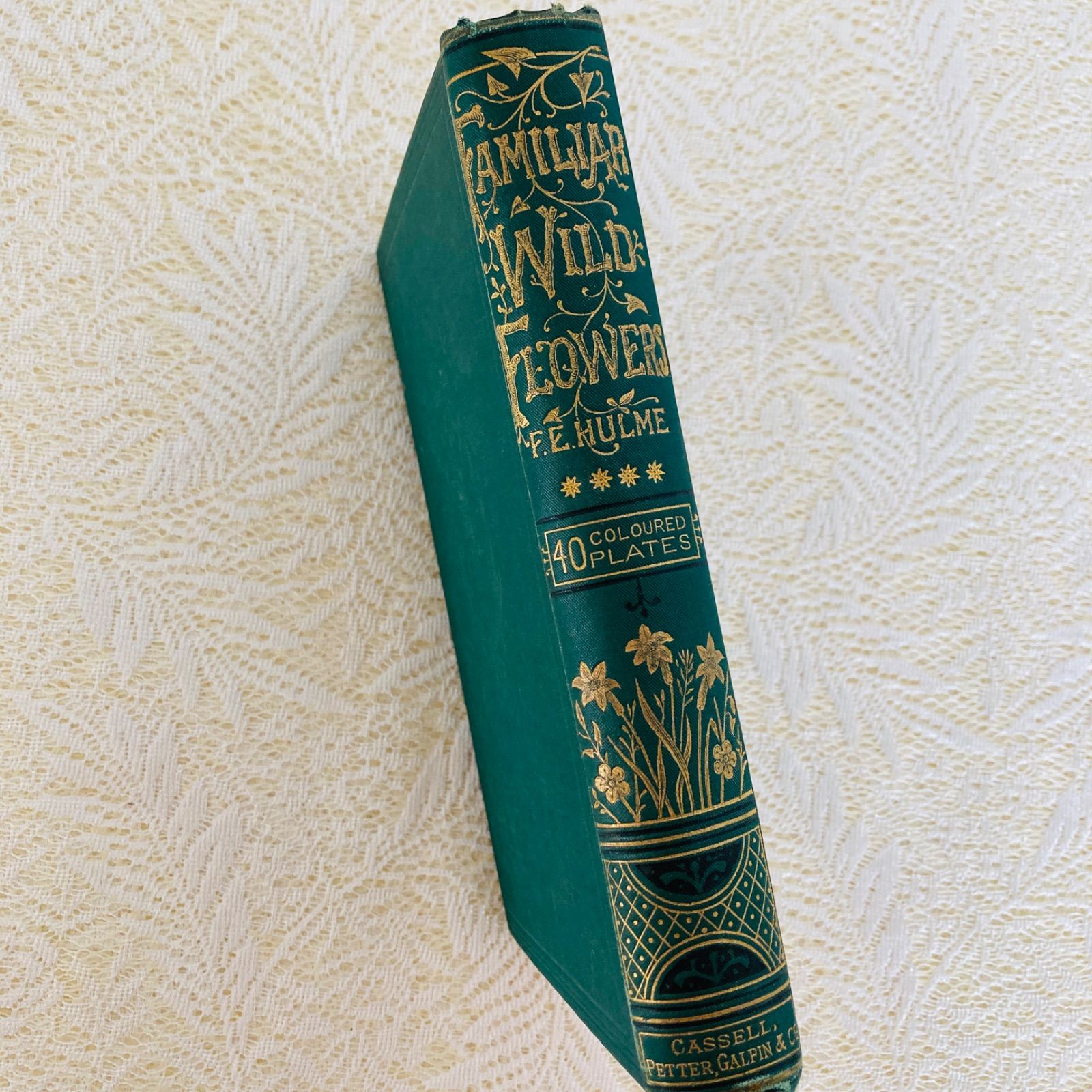 Familiar Wild Flowers 第4巻 イギリスのアンティーク植物図鑑