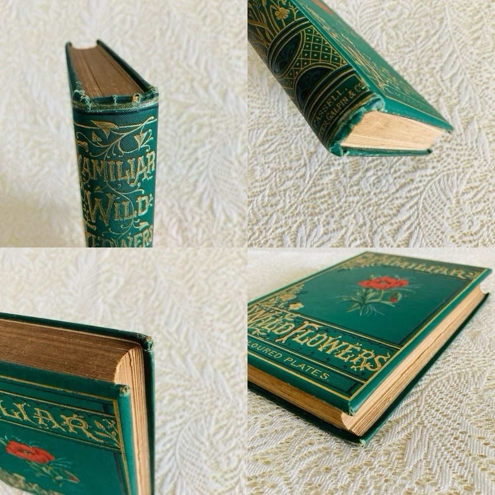 Familiar Wild Flowers 第4巻 イギリスのアンティーク植物図鑑