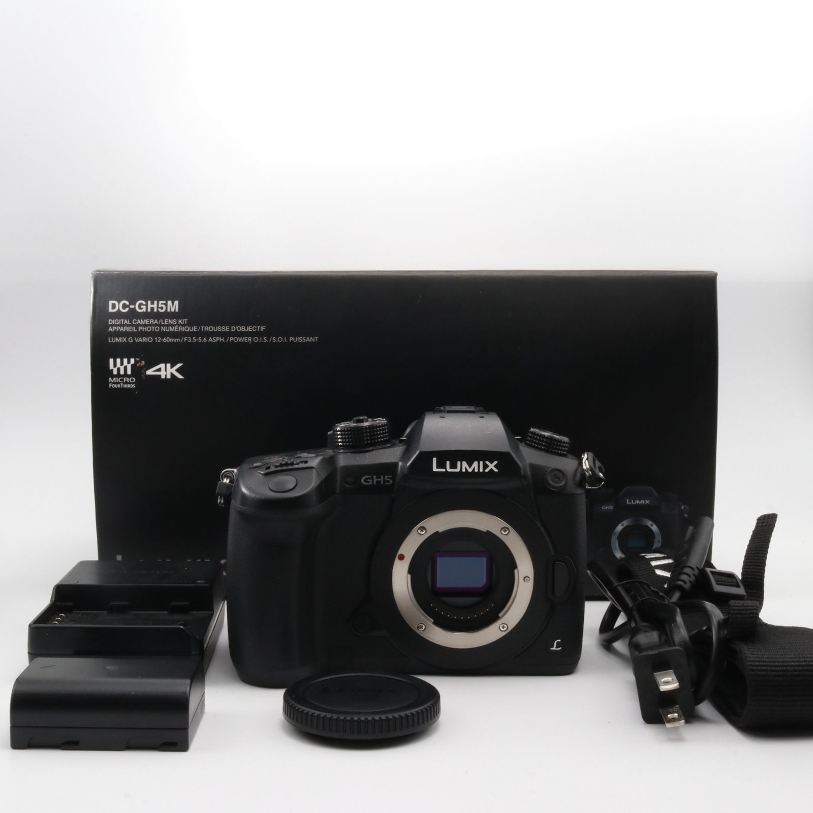Panasonic LUMIX GH5 DC-GH5 ボディ ブラック 〔マイクロフォーサーズ