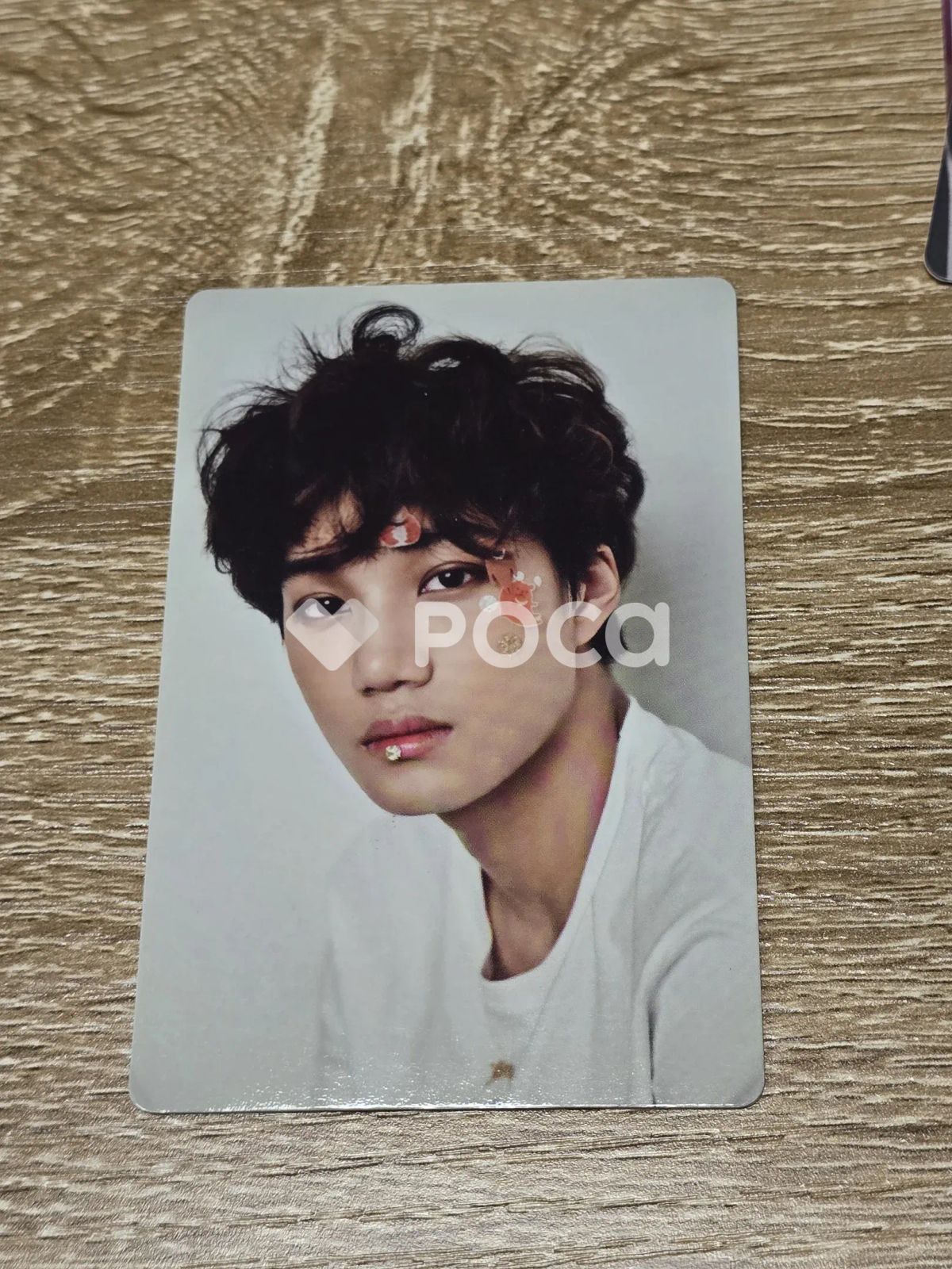 EXO グローバルパッケージ カイ トレカ レア EXO カイ 2016 S.M.ARTIST SEASON'S GREETING EXO GLOBAL Ver. - メルカリ
