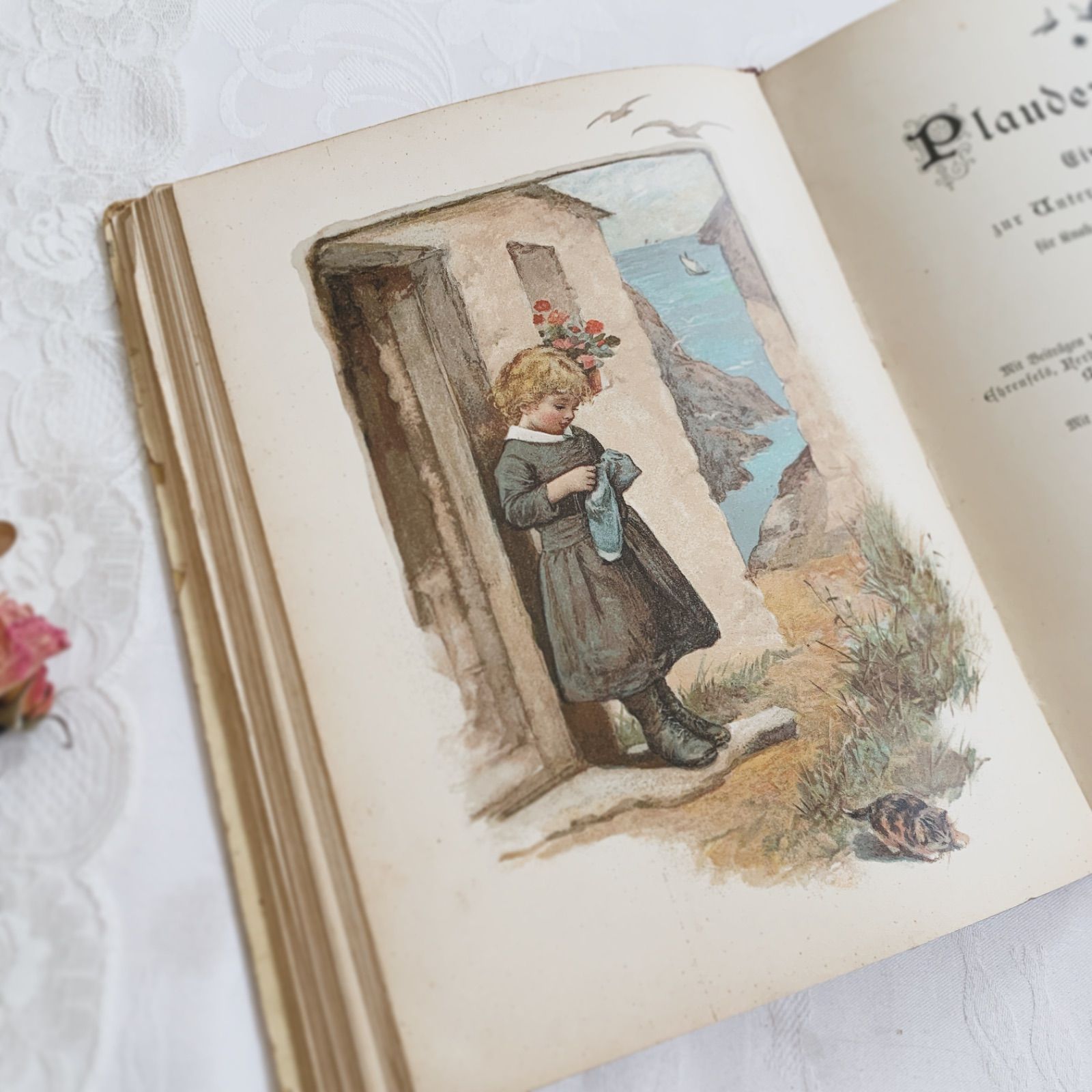 1890-1910年ドイツのアンティーク児童書-美しいカラー&モノクロ挿絵を
