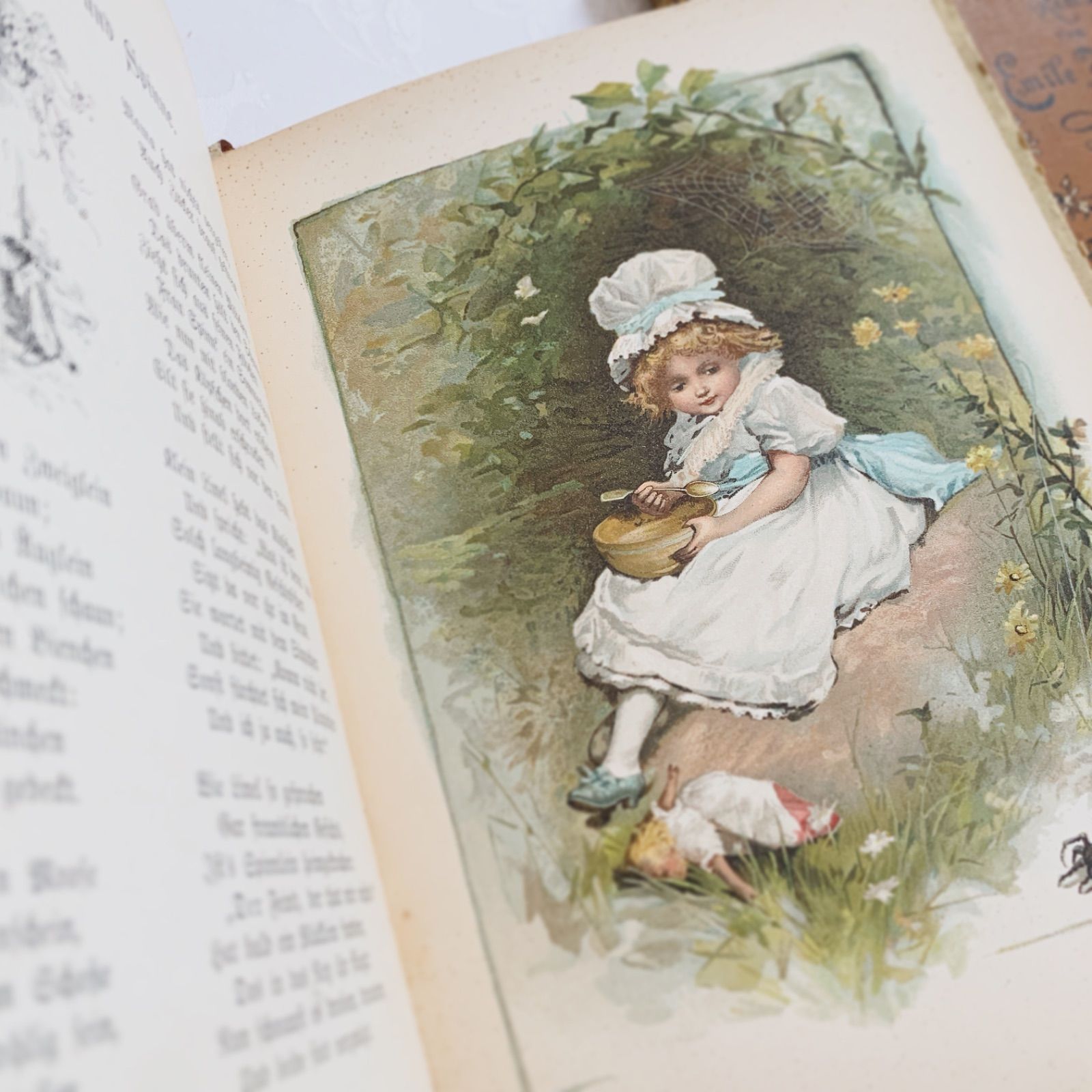 1890-1910年ドイツのアンティーク児童書-美しいカラー&モノクロ挿絵を