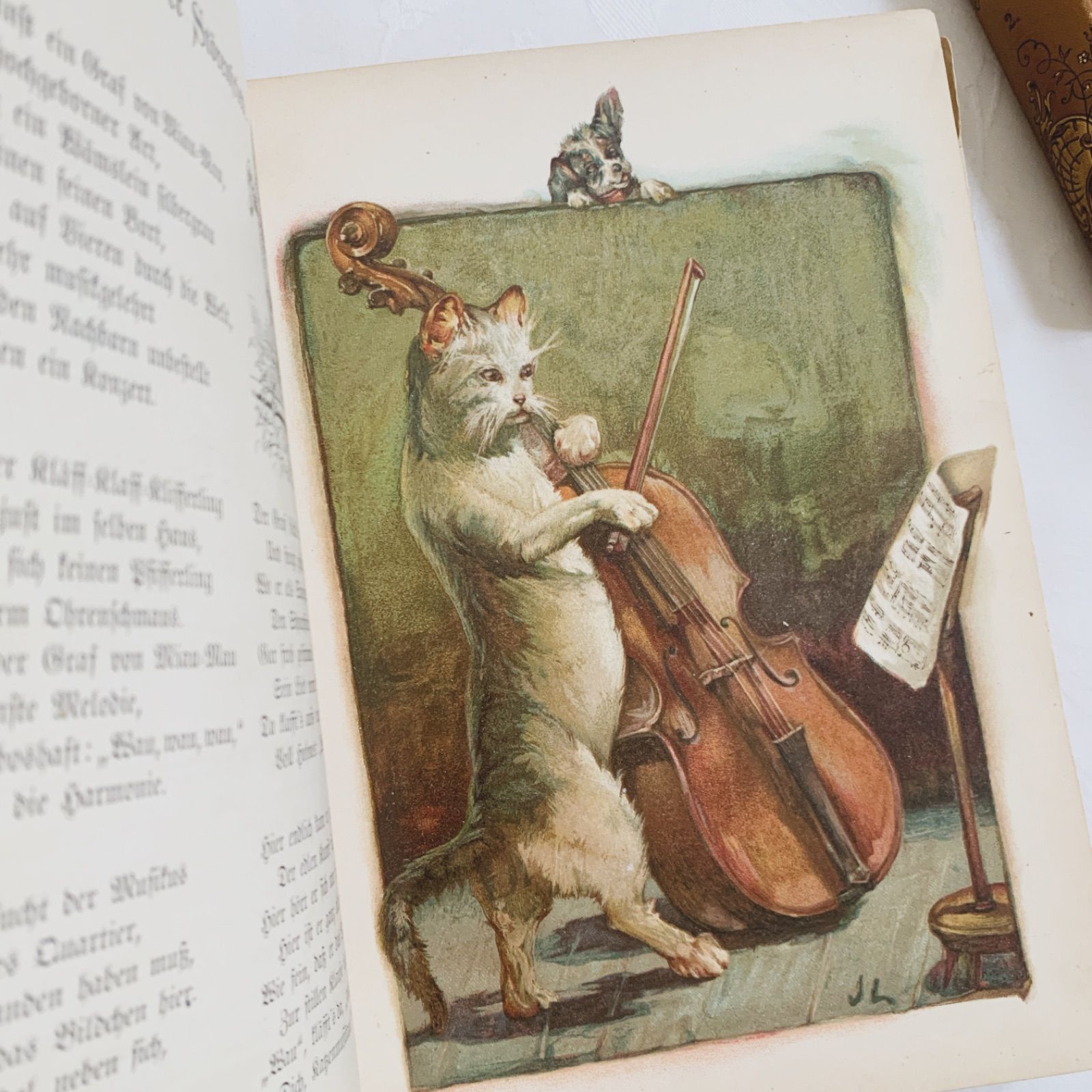 1890-1910年ドイツのアンティーク児童書-美しいカラー&モノクロ挿絵を