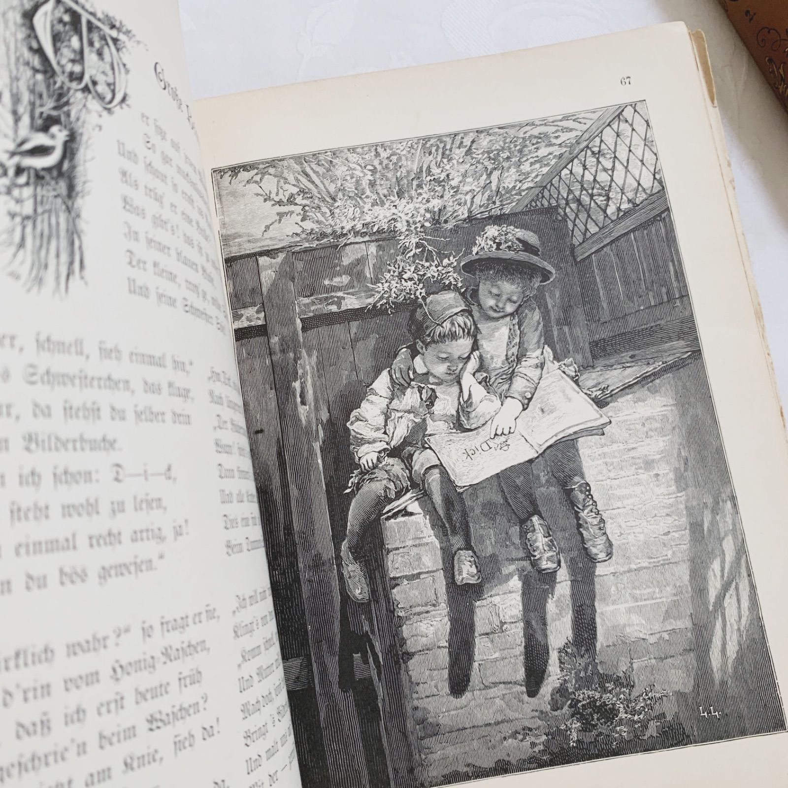 1890-1910年ドイツのアンティーク児童書-美しいカラー&モノクロ挿絵を