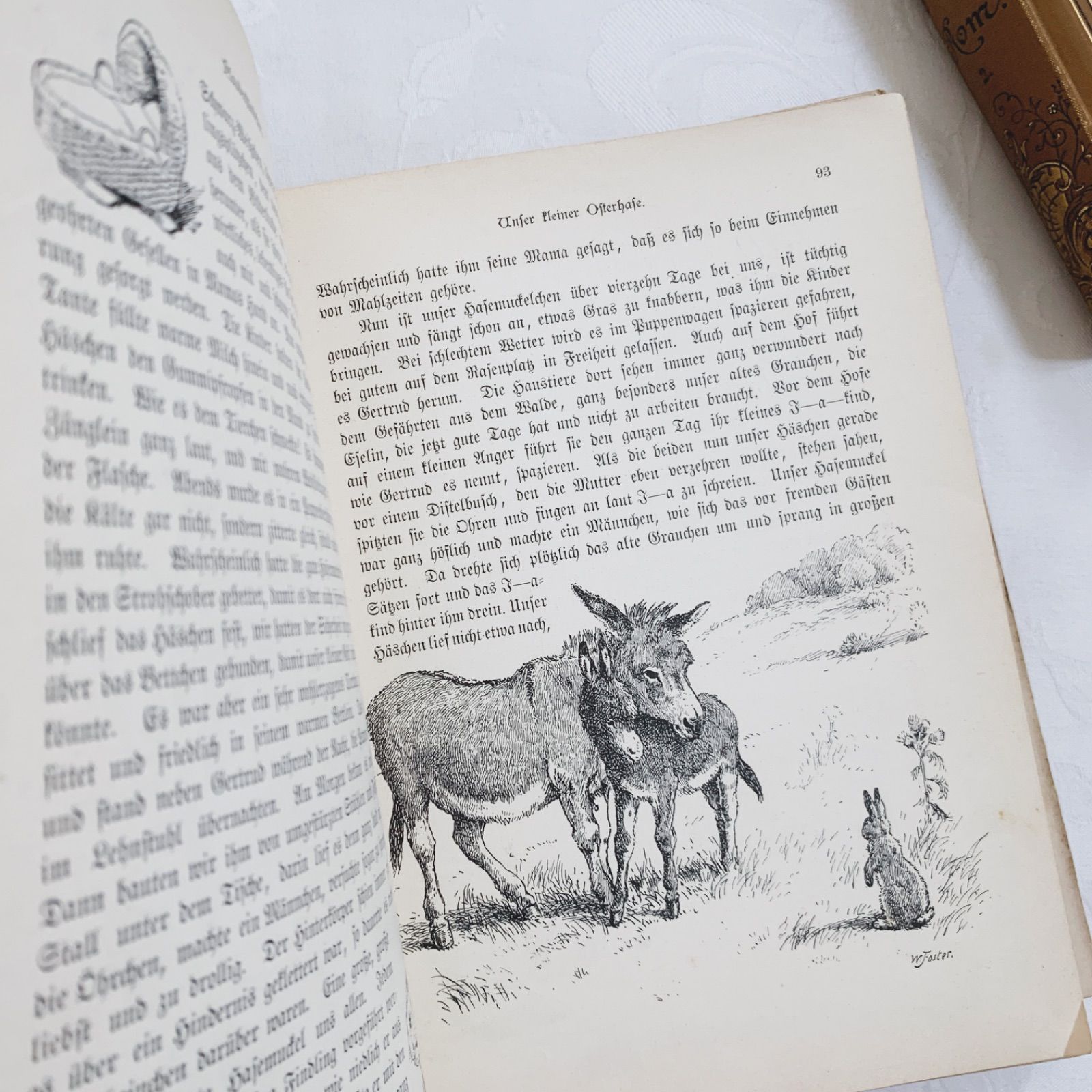 1890-1910年ドイツのアンティーク児童書-美しいカラー&モノクロ挿絵を